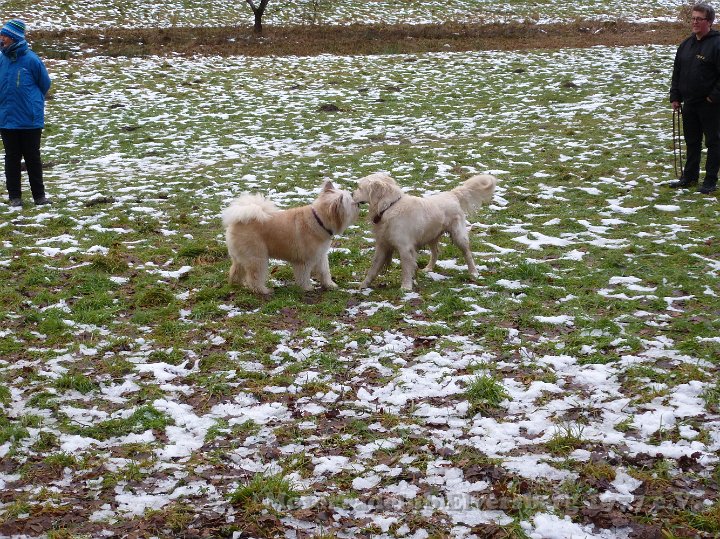 Wandertag 2015 - 010.jpg